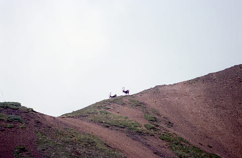 Hirsch, Berg, Bergseite, Himmel, Freizeitbeschäftigung, echte Menschen, Lebensstile, Szenen - Natur, Natur, Tag, eine Person, Schönheit in der Natur, Ruhe, kopieren sie platz, ruhige Szene, Nicht-städtische Szene, Männer, Landschaft, Land, klarer Himmel, Abenteuer, draußen, Klima, trockenes Klima, 8K, CC0, gemeinfrei, lizenzfrei