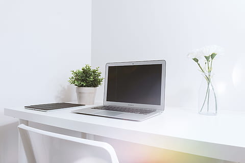 modern, white, office, interior, laptop, technology, wireless technology, computer, plant, indoors, nature, flowering plant, home interior, flower, table, communication, connection, business, furniture, no people, vase, copy space, potted plant, houseplant, flat screen, 4K, CC0, public domain, royalty free