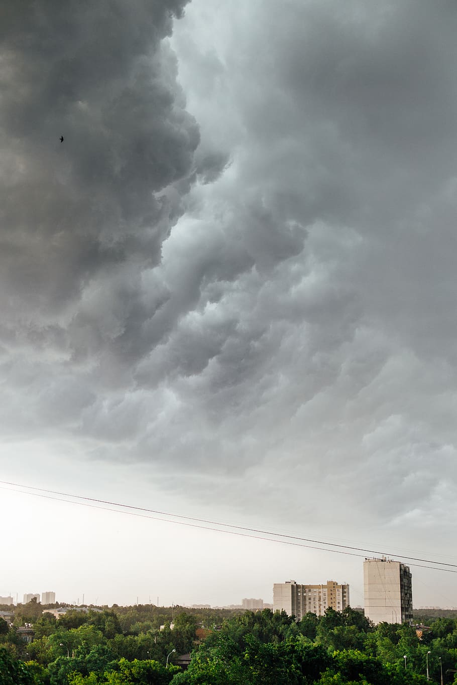 cielo, tempesta, nuvole, alberi, albero, fili, tetto, tetti, vista, costruzione, edifici, Russia, mosccw, città, architettura, nuvola - cielo, esterno dell'edificio, struttura costruita, nessuno, natura, nuvoloso, nuvola temporalesca, bellezza nella natura, giorno, pianta, all'aperto, ambiente, Inquadratura dal basso, infausto, inquinamento, 5K