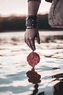person, holding, rød, blad, rolig, vann, hånd, væpne, refleksjon, innsjø, hav, smykker, armbånd, natur, utendørs, reise, vandre, utforske, høstfotografering, høstfoto, fall fotografering, fall foto, kvinner, mennesker, én person, menneskelig ben, hunner, menn, voksen, livsstil, ung voksen, eventyr, sport, kaukasisk etnisitet, menneskelig hånd, sommer, rock-objekt, menneskelig fot, hanner, sunn livsstil, fotturer, 4K, CC0, offentlig domene, opphavsrett gratis