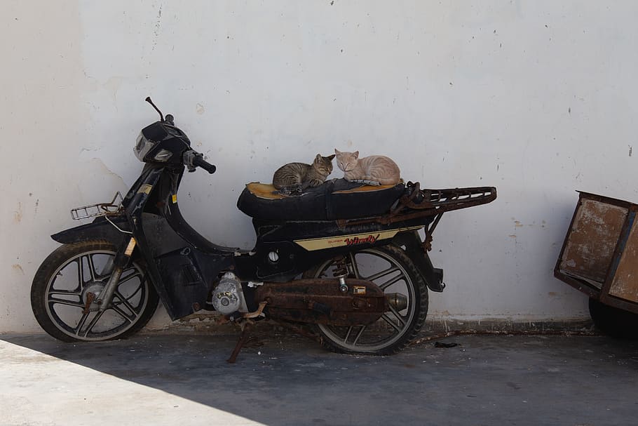 motocicleta negra amb eix central, vehicle, moto, vespa, motoneta, transport, ciclomotor, scooter, bicicleta, gris, carretera, grava, Carretera bruta, carruatge, funció de construcció de parets, vehicle terrestre, manera de transport, cap gent, estacionari, absència, dia, arquitectura, paret, carro, estructura construïda, sòls, abandonat, vell, a l'aire lliure, roda, 4K