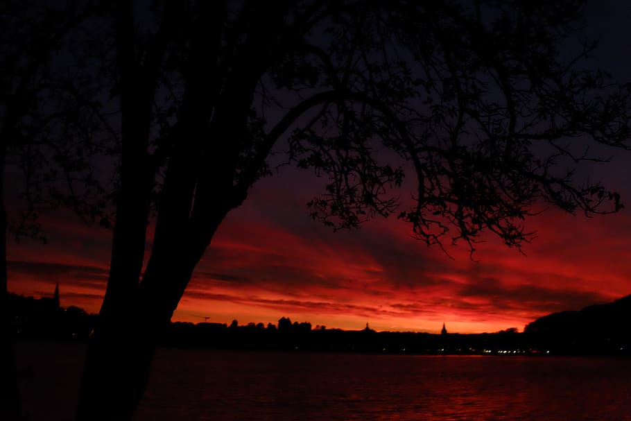 albero, tramonto, natura, sole, rosso, cielo, energia, silenzioso, età, vecchio, significare, contento, aspettare, alberi, naturale, escursione, camminare, silhouette, bellezza nella natura, nuvola - cielo, pianta, scenics - natura, acqua, scena tranquilla, la tranquillità, colore arancione, nessuno, idilliaco, lago, all'aperto, scena non urbana, crepuscolo, cielo romantico, 4K