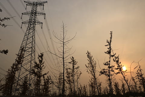 crepuscolo, torre di ferro, ombra, tetro, tramonto, tranquillo, silhouette, alberi, filo, elettricità, tecnologia, cielo, Inquadratura dal basso, combustibile e produzione di energia, pilone dell'elettricità, cavo, Alimentazione elettrica, linea elettrica, albero, pianta, nessuno, connessione, natura, alto - alto, Torre, all'aperto, bellezza nella natura, 5K, CC0, dominio pubblico, privo di copyright