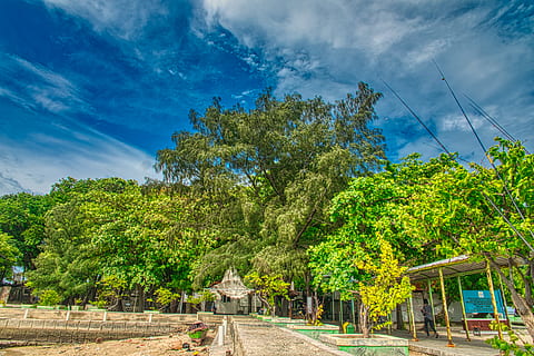 green, trees, pathway, blue sky, cloudiness, clouds, cloudscape, colors, daylight, daytime, environment, fair weather, landscape, nature, sand, scenery, scenic, sight, sky, woods, tree, plant, green color, cloud - sky, road, no people, transportation, blue, tropical climate, day, architecture, outdoors, city, growth, palm tree, beauty in nature, cable, coconut palm tree, 5K, CC0, public domain, royalty free