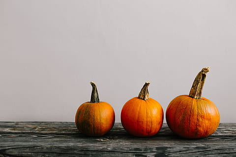 variety of pumpkins, healthy, health, autumn, fall, pumpkin, vegetable, halloween, seasonal, october, november, food and drink, food, healthy eating, wellbeing, no people, orange color, studio shot, copy space, freshness, indoors, celebration, still life, wood - material, in a row, table, group of objects, 5K