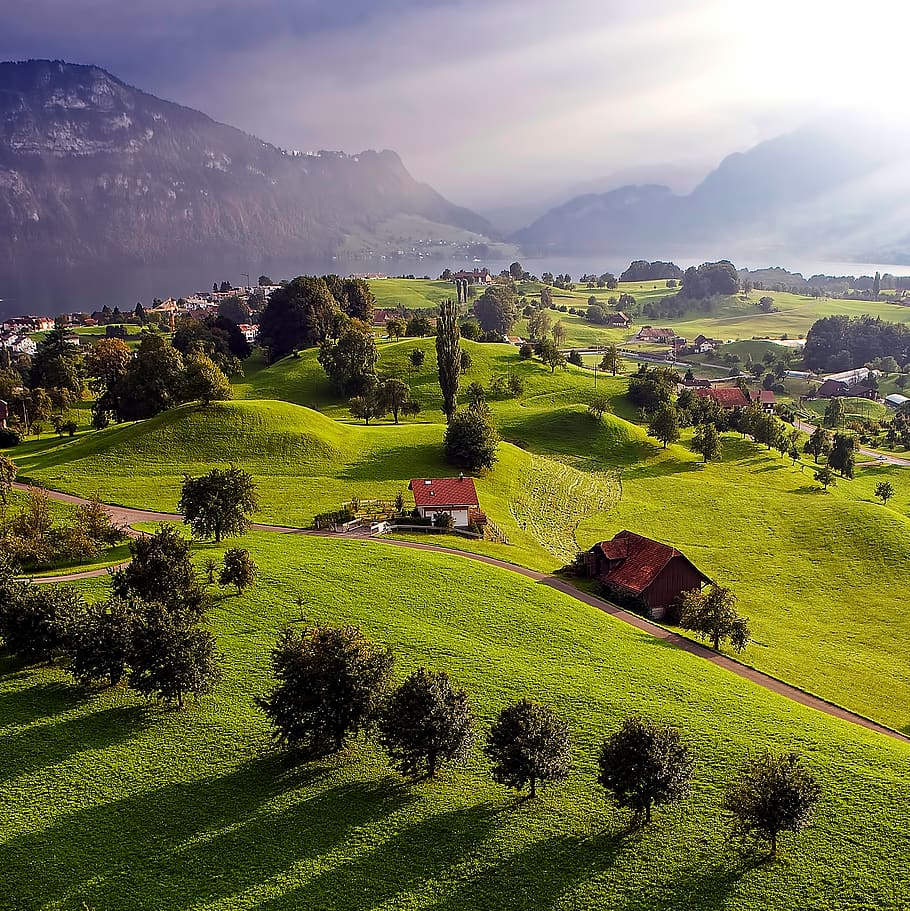 strom, světlo, západ slunce, letecký, balón, hospodařit, Dům, jezero, kopec, stín, luzern, horská pastvina, hora, krajina, scenics - příroda, krása v přírodě, zelená barva, klidné scény, životní prostředí, rostlina, pole, nebe, klid, tráva, přistát, Příroda, architektura, venkovské scény, idylický, mimoměstské scény, exteriér budovy, nikdo, pohoří, venku, 2K