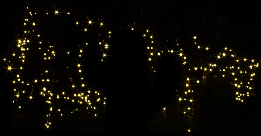 Beleuchtung, Licht, Baum, Kaktus, Weihnachten, Weihnachtslicht, Weihnachten Hintergrund, Tapete, hd, volle hd, Star, Nacht-, beleuchtet, Feier, keine Leute, Dekoration, Natur, draußen, glühend, Gelb, Lichtanlage, Urlaub, schwarzer Hintergrund, Bewegung, Ferienveranstaltung, Unscharf gestellt, Licht - natürliches Phänomen, die Architektur, 2K
