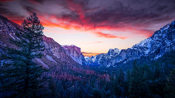 green pine trees, beauty in nature, scenics - nature, sky, mountain, sunset, cloud - sky, tranquil scene, nature, environment, tree, tranquility, non-urban scene, plant, mountain range, no people, landscape, dramatic sky, idyllic, land, dusk, outdoors, pine tree, coniferous tree, romantic sky, formation, purple, 5K, CC0, public domain, royalty free