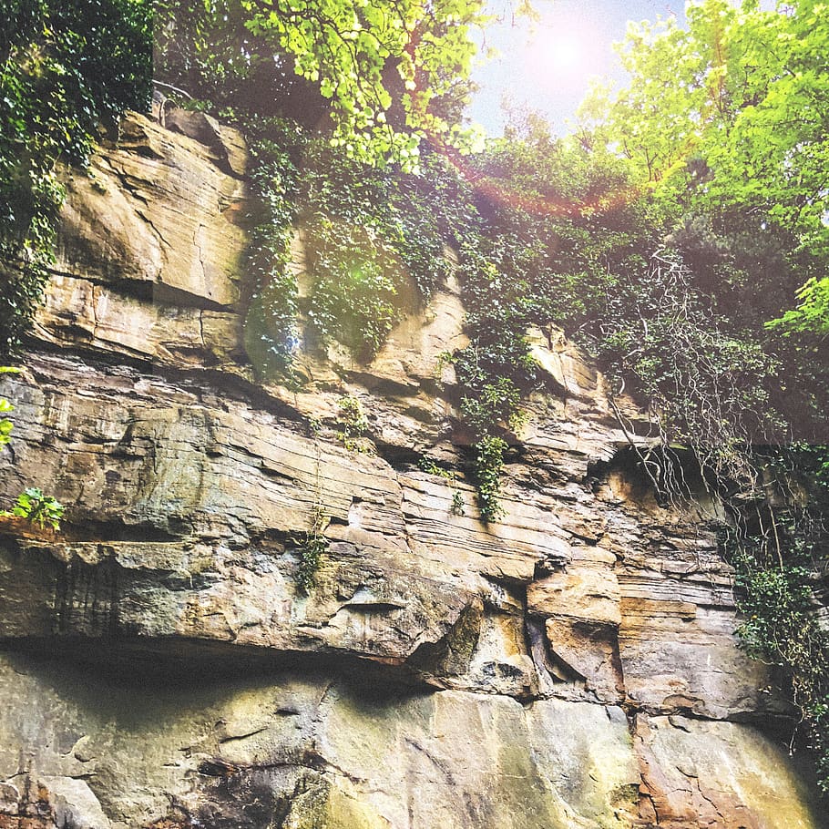 penya-segat, vegetació, plantes, arbres, verd, roques, rocós, terra, parc, sol, flare de la lent, primavera, estiu, arbre, planta, llum solar, naturalesa, bellesa a la natura, tranquil·litat, dia, rock, cap gent, escenics - natura, escena tranquil·la, escena no urbana, rock - object, bosc, sòlid, formació de roca, a l'aire lliure, creixement, geografia física, 2K