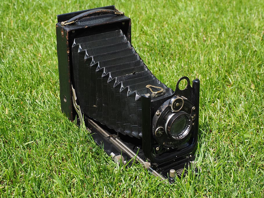 càmera, vell, compur, zeiss, lent, fotografia, nostàlgia, càmera de fotos, zeiss ikon ikonta, obturador compur, Carl Zeiss Tessar lens, zeiss ikon telma, càmera plegable, lent de tessar, obturador central de compur, herba, color verd, planta, tecnologia, cap gent, estil retro, càmera - equip fotogràfic, color negre, camp, naturalesa, dia, temes de fotografia, primer pla, terra, metall, a l'aire lliure, vista d’angle alt, centrar-se en primer pla, càmera digital, 4K