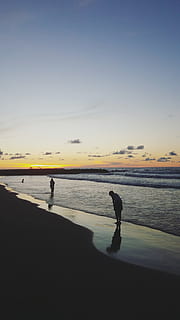 deux, personnes, plage, lever du soleil, des nuages, crépuscule, soir, heure d'or, horizon, paysage, la nature, océan, en plein air, reflets, mer, paysage marin, rivage, des silhouettes, ciel, le coucher du soleil, eau, vagues, paysages - nature, beauté dans la nature, terre, Vrais gens, un animal, silhouette, tranquillité, animal, thèmes animaux, scène tranquille, espace de copie, une personne, animaux domestiques, 4K, CC0, domaine public, libre de droits
