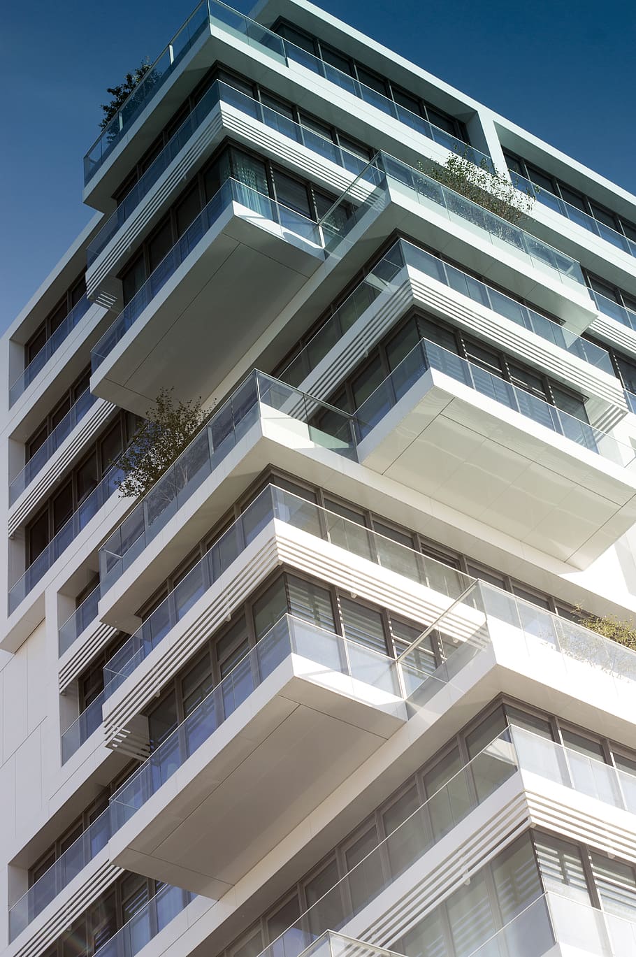 Alemanya, Berlín, pila, terrasses, terrassa, edifici, blanc, assolellat, modern, contemporani, balcó, acer, finestres, finestra, cel, apartament, barana, vista, vidre, equilibri, arquitectura, estructura construïda, exterior de l'edifici, vista d’angle baix, cap gent, naturalesa, ciutat, dia, cel clar, a l'aire lliure, barri residencial, llum solar, vidre - material, exterior d’edifici d’oficines, luxe, 5K