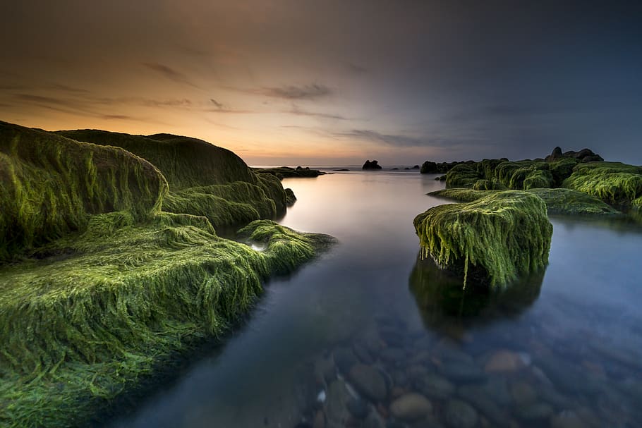 lang, eksponering fotografering krop, vand, strand, kampesten, skyer, cloudscape, daggry, skumring, aften, grøn mos, sø, landskab, lang eksponering, mossy klipper, natur, ocean, udendørs, afspejling, klipper, naturskøn, hav, marinemaleri, kysten, himmel, skyscape, sol, solnedgang, rejse, skønhed i naturen, scenics - natur, ro, rolig scene, sky - himmel, idyllisk, plante, ingen mennesker, ikke-urbane scene, jord, klippe, grøn farve, 5K