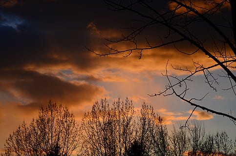tramonto, tempesta, alberi, cielo, natura, crepuscolo, nuvole, lunatico, nuvola - cielo, albero, bellezza nella natura, albero nudo, scenics - natura, ramo, scena tranquilla, la tranquillità, silhouette, colore arancione, nessuno, pianta, cielo drammatico, Inquadratura dal basso, all'aperto, 4K, CC0, dominio pubblico, privo di copyright