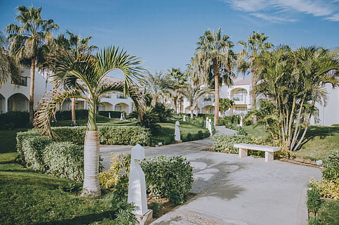 concret, camí, arbres, banc, mobles, a l'aire lliure, arbre, planta, arbor, jardí, Palmera, arecaceae, casa, edifici, vila, habitatge, hotel, estiu, llosa, descans, palmell, relaxació, clima tropical, arquitectura, estructura construïda, exterior de l'edifici, naturalesa, cel, barri residencial, herba, luxe, riquesa, cap gent, dia, paisatge, arbre tropical, palmera de coco, 4K, CC0, domini públic, lliure de regalies