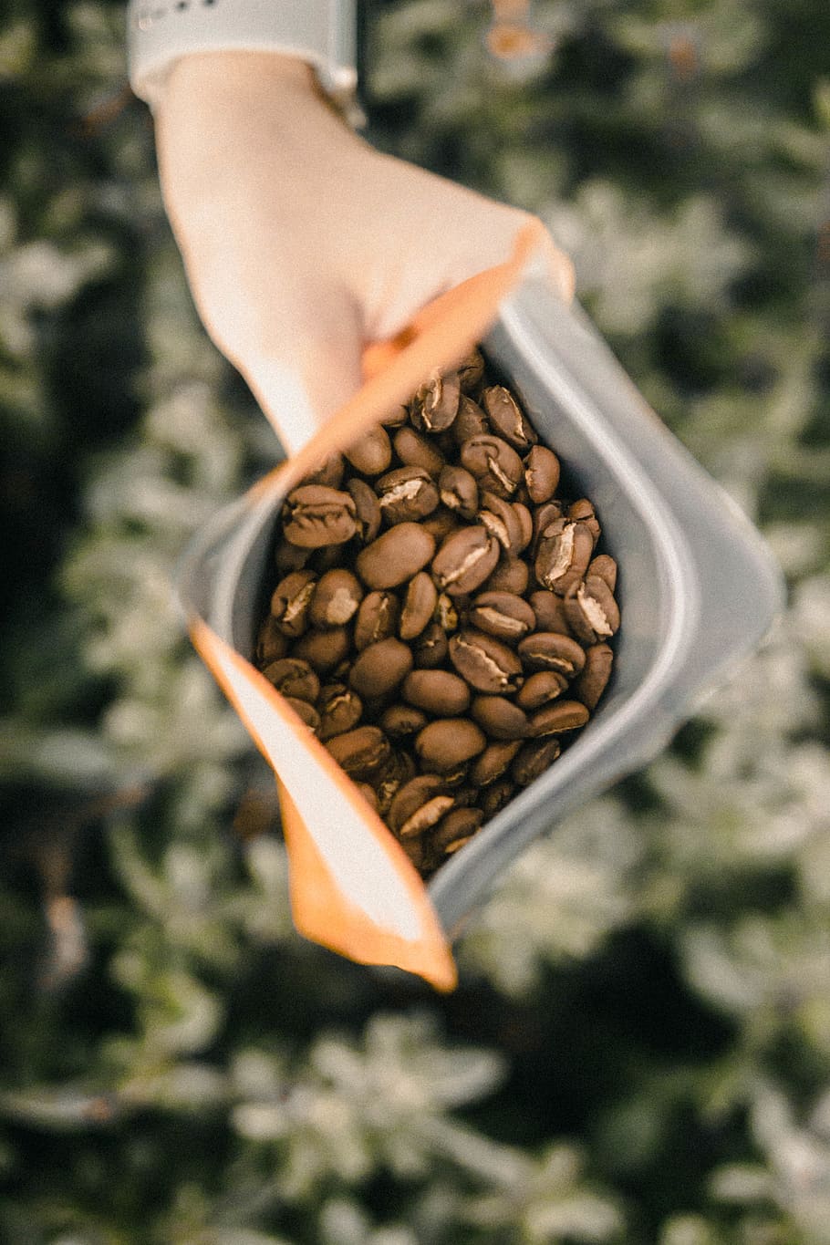 negro, paquete de granos de café, mano humana, comida y bebida, frescura, centrarse en primer plano, una persona, mano, comida, participación, de cerca, parte del cuerpo humano, café, día, café - bebida, vista de alto ángulo, gente real, naturaleza, persona irreconocible, planta, grano de café tostado, marrón, dedo, 5K