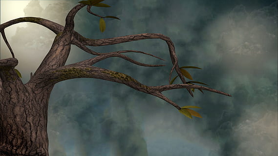 arbre, branques, 3drender, escena, núvols, planta, naturalesa, cap gent, branca, centrar-se en primer pla, creixement, dia, bellesa a la natura, a l'aire lliure, núvol - cel, primer pla, part de la planta, full, tranquil·litat, sec, un animal, vista d’angle baix, textura, 2K, CC0, domini públic, lliure de regalies