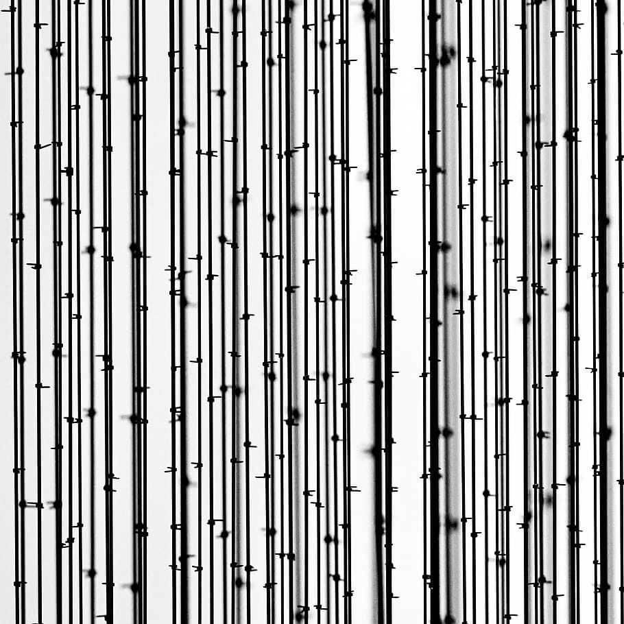 bambu duvar kağıdı, arka, bütün çerçeve, insansız, Desen, düşük açılı görünüş, gün, yapılı yapı, mimari, açık havada, metal, modern, dış yapı, doğa, tekrarlama, cam malzemesi, kapatmak, Güneş ışığı, dizayn, güvenlik, Emniyet, 1080P