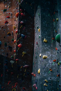 artificial, stâncă, alpinism, perete, multi colorate, sportiv, natură, zid de cățărare, montare pe perete, sporturi extreme, zi, înot, în aer liber, nici o persoana, grup mare de animale, peşte, grup de animale, apă, animal, lemn - material, animale vertebrate, scoala pestilor, 5K, CC0, domeniu public, fără drepturi de autor