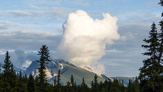 Canada, Canmore, Sky, skyer, himmel, blå, grøn, bjerg, bjerge, eventyr, udforske, træer, baggrund, ferie, rejse, alberta, solrig, forår, sommer, humørsyg, træ, sky - himmel, plante, skønhed i naturen, scenics - natur, rolig scene, natur, ikke-urbane scene, ingen mennesker, miljø, ro, Skov, vækst, jord, dag, udendørs, bjergkæde, fyrretræ, bjergtop, nåletræ, formation, magt i naturen, 4K, CC0, offentligt domæne, royaltyfrie