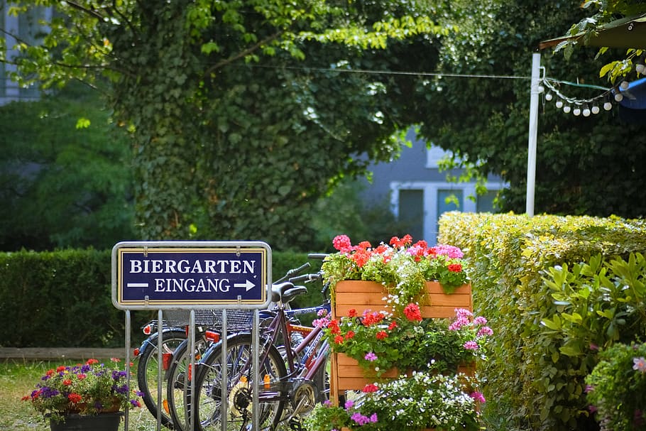 oznakowanie biergarten eingang, rower, pojazd, transport, koło, maszyna, na dworze, roślina, Natura, kwiat, kwitnąć, wiosna, lato, ogród, piwo, picie, Monachium, jazda na rowerze, kwiaty, biergarten, roślina kwitnąca, wzrost, tekst, porozumiewanie się, znak, pismo zachodnie, Informacja, dzień, znak informacyjny, żadnych ludzi, drzewo, świeżość, piękno natury, architektura, prace ogrodowe, 5K