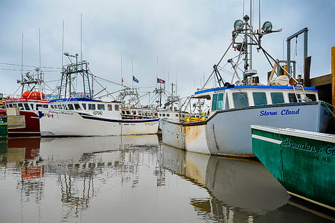 Canada, alma, nave nautica, acqua, mezzi di trasporto, modo di trasporto, porto, cielo, ormeggiato, natura, nave, nuvola - cielo, trawler, riflessione, mare, nessuno, industria ittica, molo, lungomare, giorno, all'aperto, peschereccio, barca a vela, ancorato, 4K, CC0, dominio pubblico, privo di copyright