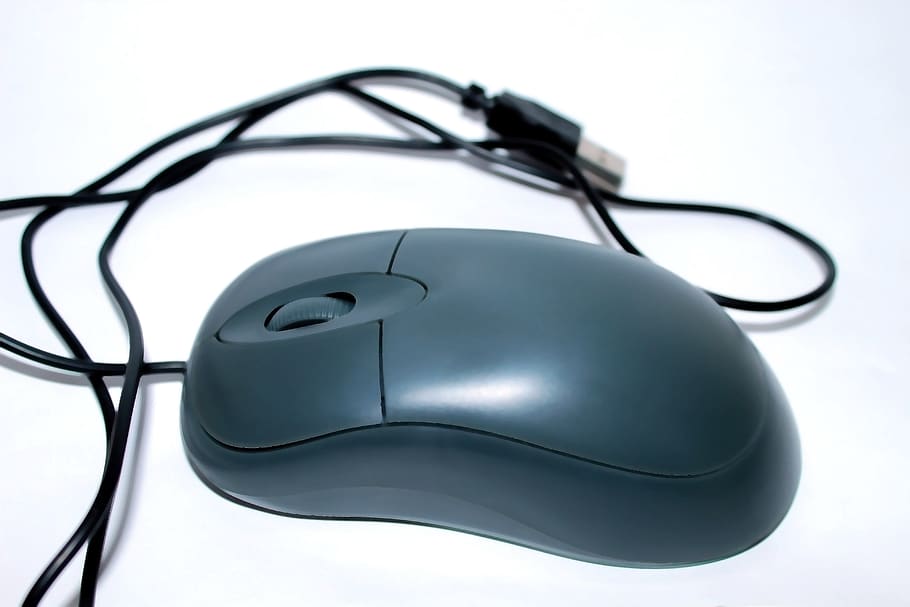 computer, topo, bianca, nero, grigio, mouse per computer, cablata, controllo, ruota, clic, sui pulsanti, attività commerciale, ufficio, librarsi, cavo, connessione, girato in studio, mouse del computer, tecnologia, in casa, nessuno, attrezzatura informatica, sfondo bianco, avvicinamento, Internet, rete di computer, comunicazione, colore nero, natura morta, sicurezza, tecnologia wireless, protezione, color argento, 5K