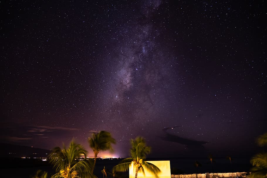 tres, verd, arbres de coco, naturalesa, a l'aire lliure, nit, espai, arbre, llum, el complex de vacances westin hapuna, Estats Units, waimea, cel, Via Làctea, espai exterior, univers, astronomia, nebulosa, estrella, planta, campament, exposició llarga, tarda, estrella - espai, cap gent, arquitectura, escenics - natura, bellesa a la natura, vista d’angle baix, exterior de l'edifici, estructura construïda, camp estel·lar, galàxia, edifici, il·luminat, 5K