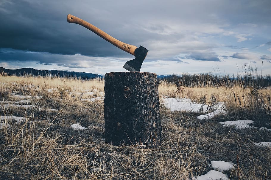 Marrone, maneggiato, ascia, ceppo, nuvola - cielo, cielo, campo, natura, terra, pianta, nessuno, giorno, temperatura fredda, la neve, scena non urbana, legno - materiale, inverno, albero, erba, scenics - natura, la tranquillità, all'aperto, scena tranquilla, 4K