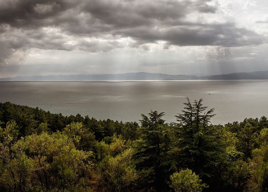 el llac ohrid, arbres, núvols, cel dramàtic, llac, ohrid lake, cloudscape, verd, dia d’estiu, arbre, núvol - cel, planta, cel, escenics - natura, bellesa a la natura, escena tranquil·la, tranquil·litat, aigua, escena no urbana, naturalesa, dia, creixement, idíl·lic, cap gent, mar, terra, tempesta, a l'aire lliure, poder a la natura, 5K