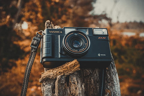 peu profond, photographie de mise au point, noir, caméra yashica, Aube, caméra, fermer, électronique, équipement, paysage, lentille, moderne, optique, la photographie, La technologie, bois, Zoom, se concentrer sur le premier plan, appareil photo - équipement photographique, thèmes de la photographie, style rétro, antique, matériel photographique, arbre, la nature, personne, journée, vieux, objectif - instrument optique, activité, appareil photo numérique, terre, en plein air, caméra SLR, 5K, CC0, domaine public, libre de droits