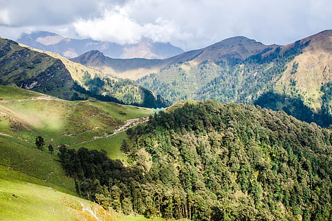escènic, vista, muntanyes, núvols, la llum del dia, medi ambient, bosc, herba, idíl·lic, paisatge, naturalesa, cel, estiu, tranquil, arbres, boscos, muntanya, escenics - natura, bellesa a la natura, escena tranquil·la, Serra, tranquil·litat, escena no urbana, planta, arbre, terra, núvol - cel, color verd, cap gent, remot, dia, a l'aire lliure, arbre de coníferes, pi, cresta de muntanya, 4K, CC0, domini públic, lliure de regalies
