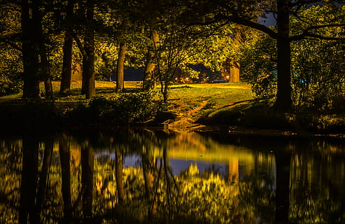 lago, accanto, fotografia forestale, foresta, erba, paesaggio, luci, notte, parco, riflessi, alberi, acqua, boschi, albero, pianta, riflessione, la tranquillità, bellezza nella natura, natura, crescita, scena tranquilla, scenics - natura, nessuno, terra, tronco d'albero, tronco, all'aperto, 2K, CC0, dominio pubblico, privo di copyright