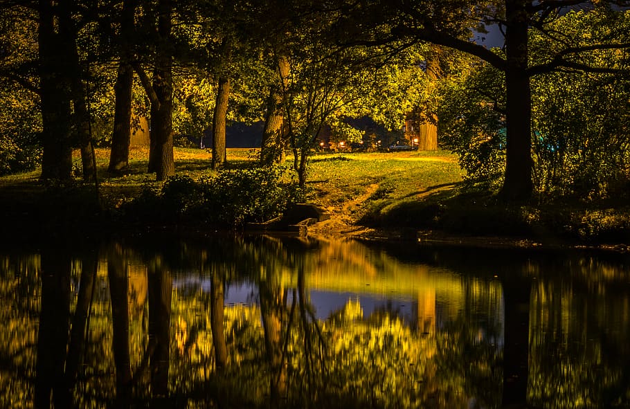 lago, accanto, fotografia forestale, foresta, erba, paesaggio, luci, notte, parco, riflessi, alberi, acqua, boschi, albero, pianta, riflessione, la tranquillità, bellezza nella natura, natura, crescita, scena tranquilla, scenics - natura, nessuno, terra, tronco d'albero, tronco, all'aperto, 2K