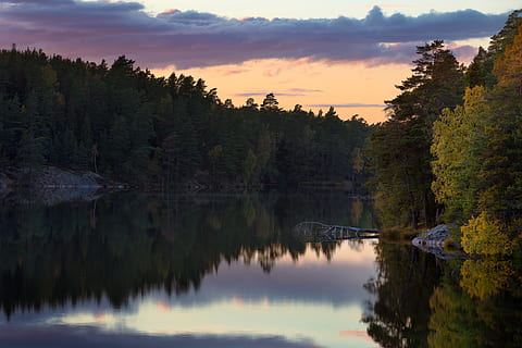 tree, cloud, cloudscape, autumn, varmdö, stockholm, sweden, calm, treetrunk, mirror, sunrise, sunset, night, sky, forest, lake, water, plant, beauty in nature, reflection, scenics - nature, cloud - sky, tranquility, tranquil scene, nature, orange color, non-urban scene, growth, waterfront, no people, outdoors, change, 1080P, CC0, public domain, royalty free