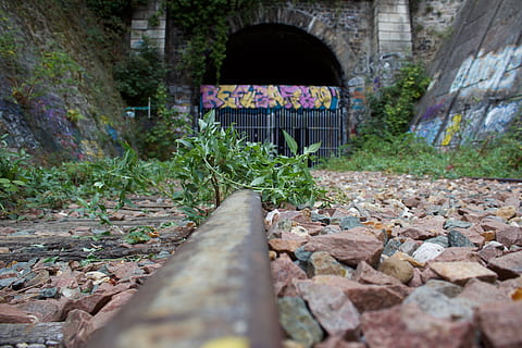 abbandonato, vecchio, rotaia, pianta, arco, architettura, natura, struttura costruita, crescita, nessuno, giorno, foglia, solido, parte vegetale, all'aperto, ponte, ponte - struttura fatta dall'uomo, parete, roccia, ferrovia, la strada davanti, tunnel, direzione, mattone, livello di superficie, traccia, muro di pietra, 5K, CC0, dominio pubblico, privo di copyright