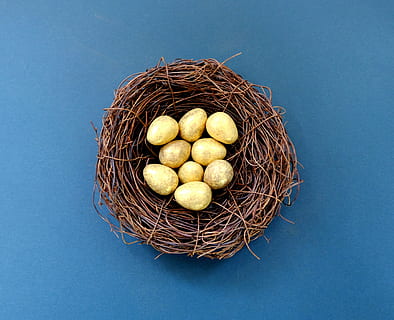 white, eggs, brown, nest, blue, delicious, easter, easter eggs, food, gold, golden, grow, hay, healthy, little, nutrition, painted, still life, straw, traditional, wood, studio shot, animal nest, no people, food and drink, directly above, high angle view, freshness, indoors, colored background, egg, copy space, animal egg, blue background, healthy eating, cut out, beginnings, wellbeing, 2K, CC0, public domain, royalty free