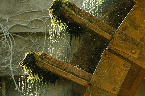 superficie marrone, acqua, Fontaine-de-Vaucluse, fontaine de vaucluse, macchina, ruota d'acqua, Francia, Fontana, Lavello, spruzzatore, apiario, ringhiera, corrimano, Fontanella, ruota, luce del sole, bagno, camera, in casa, ruggine, natura, riflessione, bagnato, nessuno, giorno, legno - materiale, avvicinamento, all'aperto, pianta, fauna selvatica, un animale, animali allo stato selvatico, lago, animale, vetro - materiale, trasparente, temi animali, acqua corrente, 4K, CC0, dominio pubblico, privo di copyright