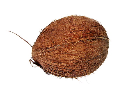 Coco, cocos, palma de coco, Cocoz, blanco, Fruta, fondo, madera, de cerca, aislado, vegetariano, peludo, natural, divertido, delicioso, tropical, dieta, marrón, hoja, subtropical, objeto, sabroso, sano, vitamina, planta, trópico, comida, nuez, Fondo blanco, foto de estudio, solo objeto, separar, adentro, comida y bebida, alimentación saludable, nadie, naturaleza muerta, bienestar, frescura, seco, texturizado, naturaleza, copia espacio, 1080P, CC0, dominio público, libre de derechos