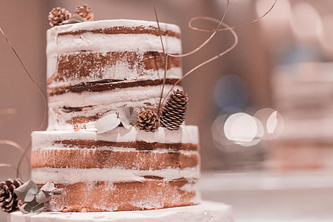 pinecones สีน้ำตาล, ขนม, อาหาร, เค้ก, Torte, เค้กแต่งงาน, ครีม, น้ำตาลไอซิ่ง, ลูกกวาด, เค้กวันเกิด, คุกกี้, สีน้ำตาลอ่อน, เบเกอรี่, ร้านขายของ, ขนมปังขิง, ช็อคโกแลต, กาละแม, ฟัดจ์, วิปครีม, หวาน, อาหารหวาน, อาหารและเครื่องดื่ม, งานเฉลิมฉลอง, อบ, การปล่อยตัว, เครื่องประดับ, ใกล้ชิด, คริสต์มาส, มุ่งเน้นไปที่เบื้องหน้า, เลือกโฟกัส, ตาราง, ไม่มีคน, สิ่งล่อใจ, ในบ้าน, วันหยุด, ชั้น, 5K, CC0, โดเมนสาธารณะ, ค่าลิขสิทธิ์ฟรี