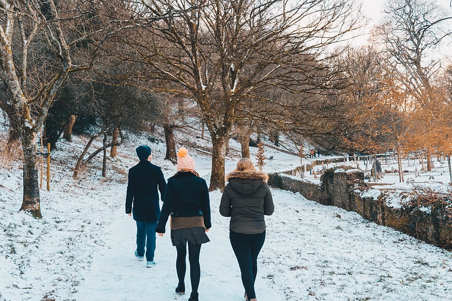 Bäume, Wald, Schnee, Menschen, Abenteuer, draußen, Winter, erforschen, kalte Temperatur, Rückansicht, Baum, echte Menschen, kahler Baum, warme Kleidung, Pflanze, Natur, Kleidung, Lebensstile, Gehen, Tag, weiße Farbe, Freizeitbeschäftigung, Frau, zwei Menschen, Schönheit in der Natur, 5K