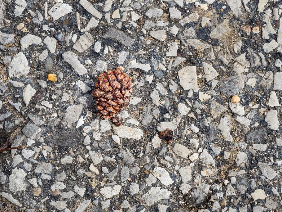 pinya de pi, rocós, ciment, macro, naturalesa, objectes, pi, repetició, roques, textura, dia, directament a sobre, cap gent, vista d’angle alt, sòlid, menjar, a l'aire lliure, menjar i beguda, primer pla, terra, nou, rock - object, rock, frescor, fauna animal, nou - aliments, natura morta, aspre, 4K