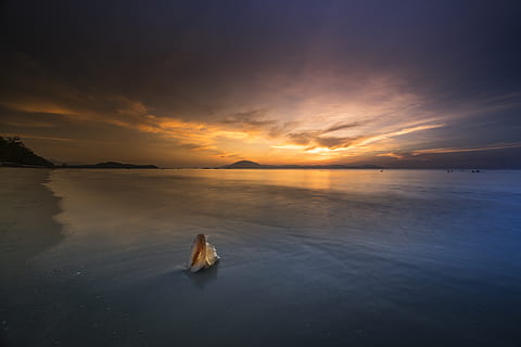 laut, keemasan, jam, pandangan mata burung, awan, cloudscape, senja, malam, jam emas, horison, pulau, pemandangan, alam, samudra, di luar rumah, refleksi, batu, indah, pemandangan laut, langit, matahari terbenam, air, scenics - alam, ketenangan, keindahan di alam, adegan yang tenang, awan - langit, cakrawala di atas air, pantai, idilis, tanah, tidak ada orang, tepi laut, adegan non-urban, 8K, CC0, domain publik, bebas royalti