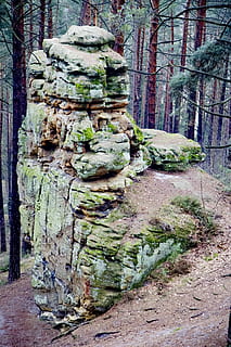 masso nella foresta, luce del giorno, ambiente, foresta, erba, verde, paesaggio, muschio, natura, parco, sentiero, piante, rocce, pietre, alberi, boschi, albero, pianta, tronco, tronco d'albero, giorno, nessuno, architettura, crescita, terra, arte e artigianato, la tranquillità, vecchio, creatività, all'aperto, struttura costruita, mestiere, bosco, 4K, CC0, dominio pubblico, privo di copyright