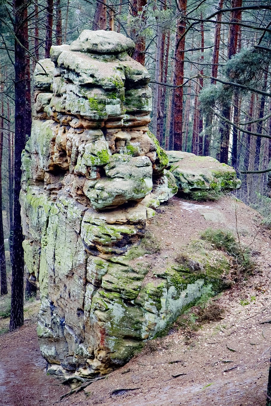 roca al bosc, la llum del dia, medi ambient, bosc, herba, verd, paisatge, molsa, naturalesa, parc, camí, plantes, roques, pedres, arbres, boscos, arbre, planta, tronc, tronc de l'arbre, dia, cap gent, arquitectura, creixement, terra, art i artesania, tranquil·litat, vell, creativitat, a l'aire lliure, estructura construïda, artesania, 4K