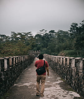 man, walking, concrete, bridge, path, trees, rear view, tree, plant, the way forward, direction, full length, one person, real people, footpath, day, lifestyles, sky, casual clothing, nature, architecture, leisure activity, connection, bridge - man made structure, outdoors, diminishing perspective, shorts, 4K, CC0, public domain, royalty free