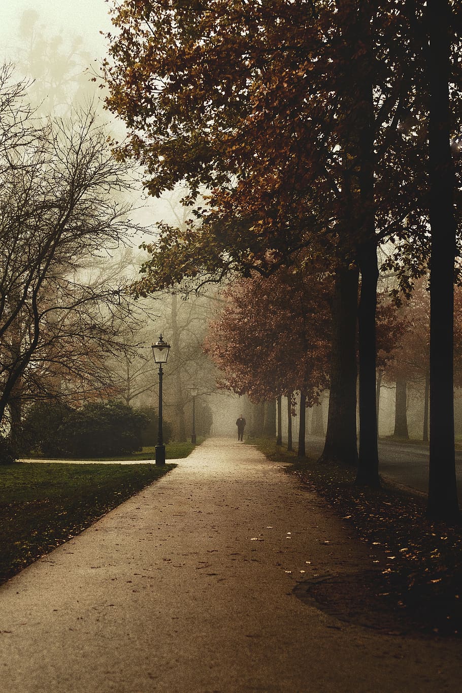 Brun, træer, pathway, natur, tåge, vejr, udendørs, sti, træ, parkere, human, person, i Baden-Baden, Tyskland, gangbro, plante, vej, fortov, mørk, gågade, retning, vejen frem, ingen mennesker, skønhed i naturen, ro, faldende perspektiv, vækst, rolig scene, dag, efterår, scenics - natur, park - mand skabt plads, fravær, lave om, treelined, 4K