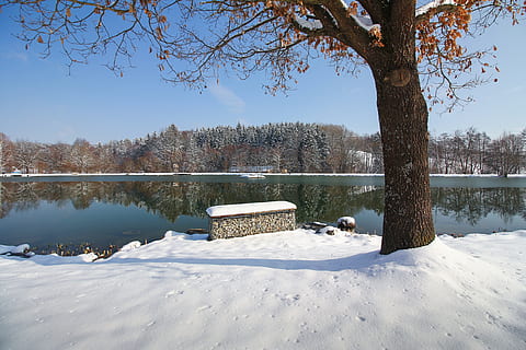 kar, kış, soğuk, ağaç, dondurulmuş, buz, göl, Winter Lake, Mavi gökyüzü, buz gibi, kış ruh hali, bitki, soğuk hava, Su, huzur, doğada güzellik, sakin sahne, doğa, manzaralar - doğa, insansız, gökyüzü, gün, kentsel olmayan sahne, açık hava, açık havada, Karla kaplı dağ, 5K, CC0, kamu malı, telif ücretsiz