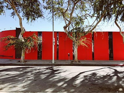 grüne Bäume, Flora, Vase, Keramik, Topfpflanze, Pflanze, Krug, Vereinigte Staaten, 7450 melrose ave, Los Angeles, Baum, Efeu, Rebe, Wand, Gebäude, Nachbarschaft, städtisch, Stadt, Straße, Stadt, Dorf, Schatten, die Architektur, Sonnenlicht, Natur, rot, gebaute Struktur, Tag, keine Leute, Gebäudehülle, draußen, Fußweg, Wachstum, Ast, der Weg nach vorn, Eingang, 4K, CC0, gemeinfrei, lizenzfrei