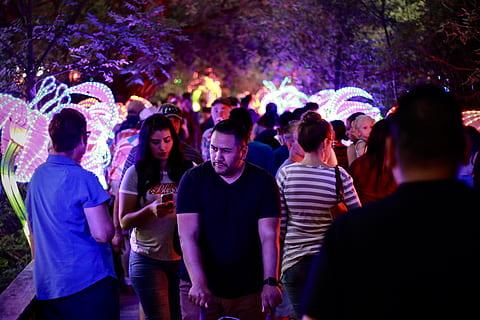 persone, a piedi, parco, folla, affollato, luci, uomo, strada, gruppo di persone, notte, celebrazione, godimento, evento, giovani uomini, felicità, illuminato, adulto, persone reali, cultura artistica e intrattenimento, uomini, festa - evento sociale, danza, giovane adulto, in piedi, vita notturna, gruppo medio di persone, eccitazione, 5K, CC0, dominio pubblico, privo di copyright
